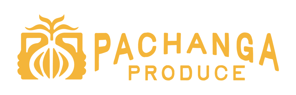 Pachanga Produce logo with stylized marigold icon and yellow text