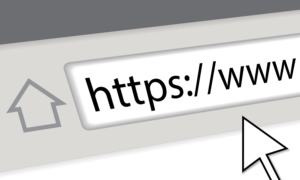 a website with a strong domain authority